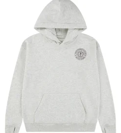 Hættetrøjer|Abercrombie & Fitch Hættetrøje - Lysegråmeleret m. Print