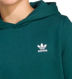 Hættetrøjer|adidas Originals adidas Originale Hættetrøje - Aurora Ivy