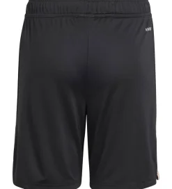 Shorts Og Knickers|adidas Originals Shorts - FC Bayern München 25/26 3. Sæt - Sort