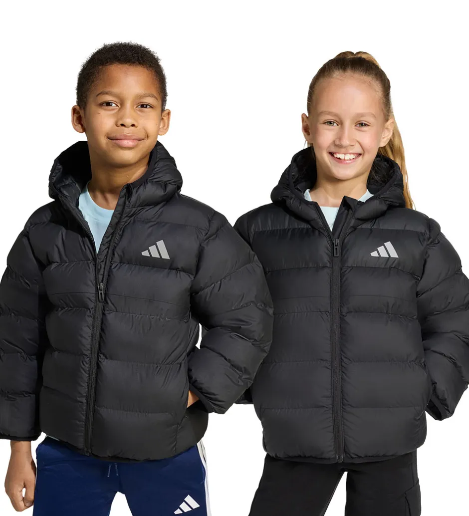 Overgangsjakker|Dunjakker Og Dynejakker|adidas Performance Dynejakke - LK SD - Sort