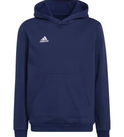 Hættetrøjer|adidas Performance Hættetrøje - NET22 - Tenabl