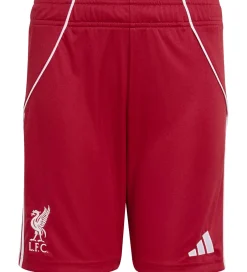 Shorts Og Knickers|adidas Performance Shorts - Liverpool 25/26 Hjemmebane - Strred