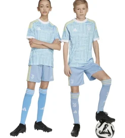 Shorts Og Knickers|adidas Performance Shorts - Juventus - Ashblu