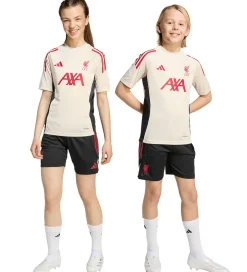 Shorts Og Knickers|adidas Performance Shorts - Liverpool - Sort