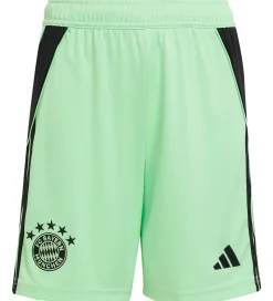Shorts Og Knickers|adidas Performance Shorts - FC bayern München 25/26 Målmand - Gl