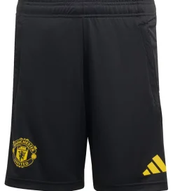 Shorts Og Knickers|adidas Performance Shorts - Manchester United 25/26 3. Sæt - Sor