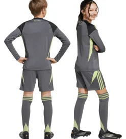 Shorts Og Knickers|adidas Performance Shorts - Manchester United - Grefiv