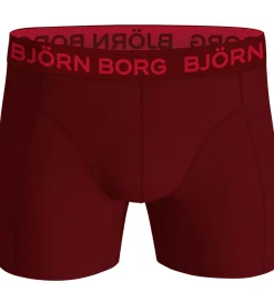 Undertøj|Björn Borg Boxershorts - 5-pak - Multipack
