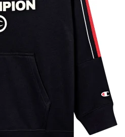 Sweatshirts|Champion Sweatshirt - Black Beauty