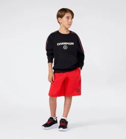Sweatshirts|Champion Sweatshirt - Black Beauty