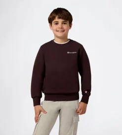 Sweatshirts|Champion Sweatshirt - Chocolate Ganache