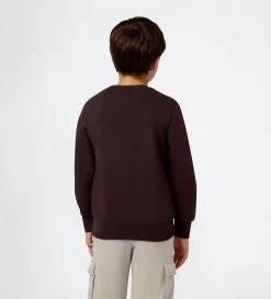 Sweatshirts|Champion Sweatshirt - Chocolate Ganache
