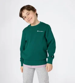 Sweatshirts|Champion Sweatshirt - Forest Peak Green