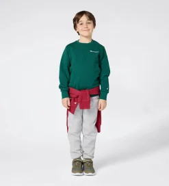 Sweatshirts|Champion Sweatshirt - Forest Peak Green