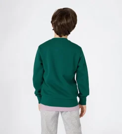 Sweatshirts|Champion Sweatshirt - Forest Peak Green