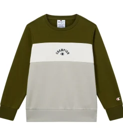 Sweatshirts|Champion Sweatshirt - Immersive Olive