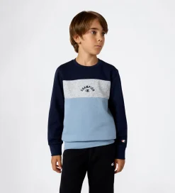 Sweatshirts|Champion Sweatshirt - Sky Captain