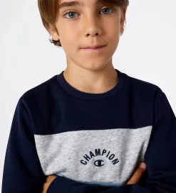 Sweatshirts|Champion Sweatshirt - Sky Captain