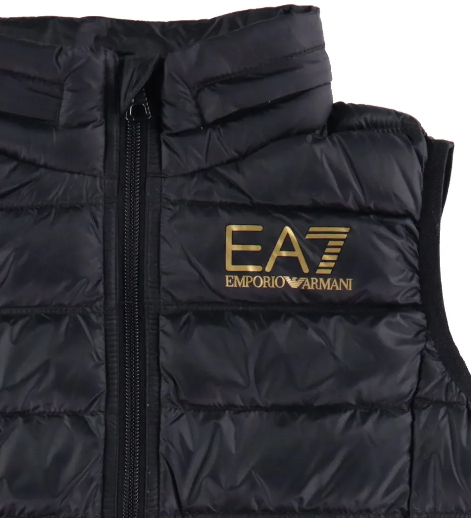 Dunveste Og Dyneveste|EA7 Dunvest - Sort m. Guld