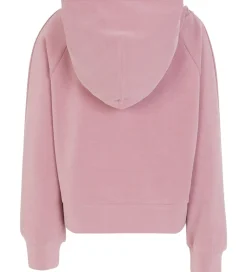 Hættetrøjer|Emporio Armani Hættetrøje - Lilas