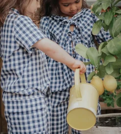 Shorts Og Knickers|Fliink Shorts - Cargo - Zorro - Insignia Sandshell Check