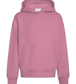 Hættetrøjer|Grunt Hættetrøje - GrNoles - Rose