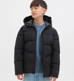 Overgangsjakker|Dunjakker Og Dynejakker|Jack & Jones Dynejakke - JjGlobal - Sort