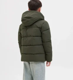 Overgangsjakker|Dunjakker Og Dynejakker|Jack & Jones Dynejakke - JjGlobal - Rosin