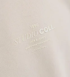 Sweatshirts|Jack & Jones Sweatshirt - JjJin - Moonbeam