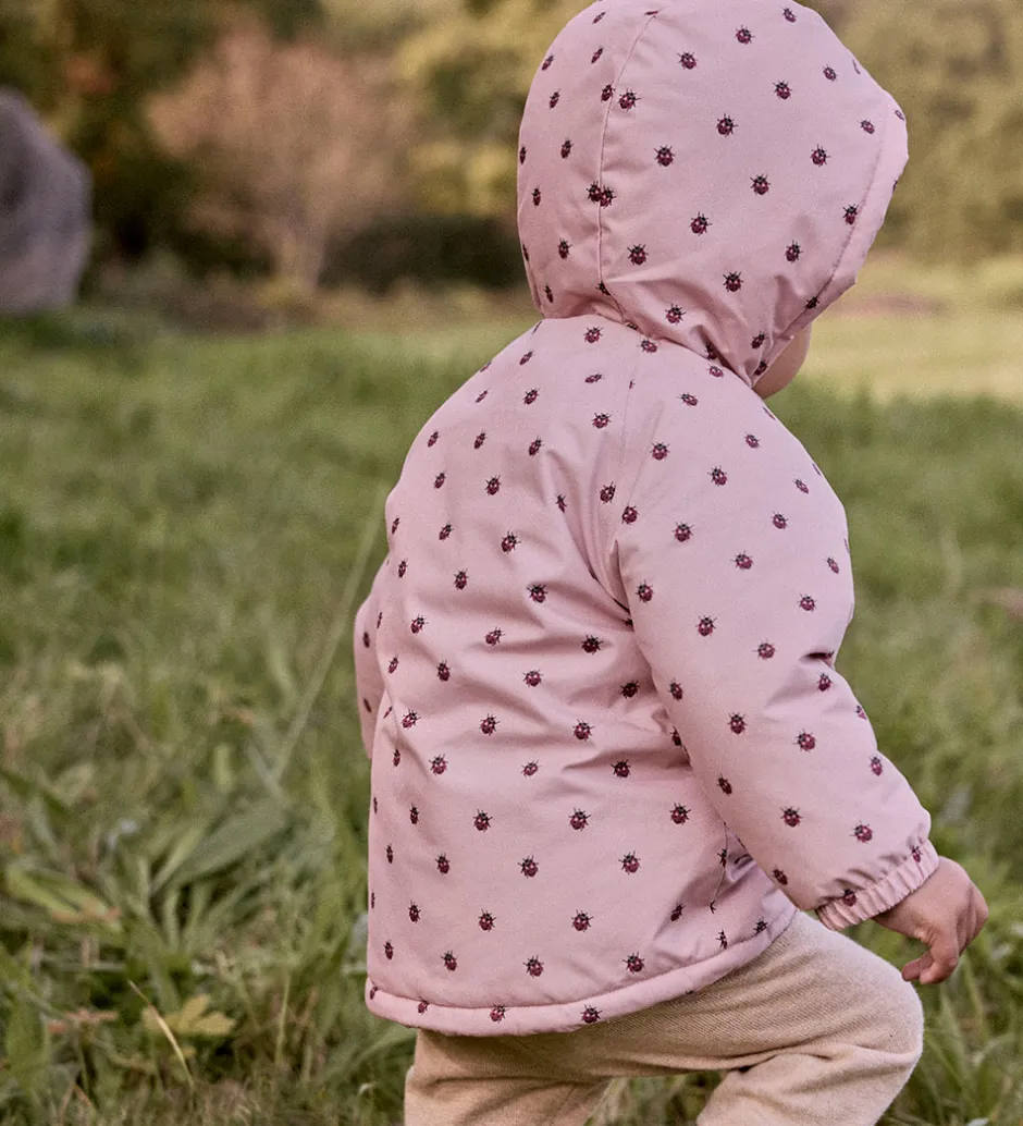 Vinterjakker|Lil Atelier Lil' Atelier Vinterjakke - NbfLasnow05 - Misty Rose/Ladybug