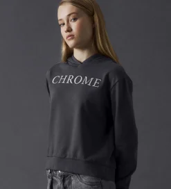 Hættetrøjer|LMTD Hættetrøje - NlfSilver - Magnet m. Print