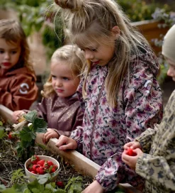 Softshell|Mikk-Line Softshelljakke m. Fleece - Recycled - Nougat m. Blomst