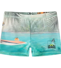 Badetøj|Molo Badebukser - UV50+ - Norton Placed - Leo On Surf