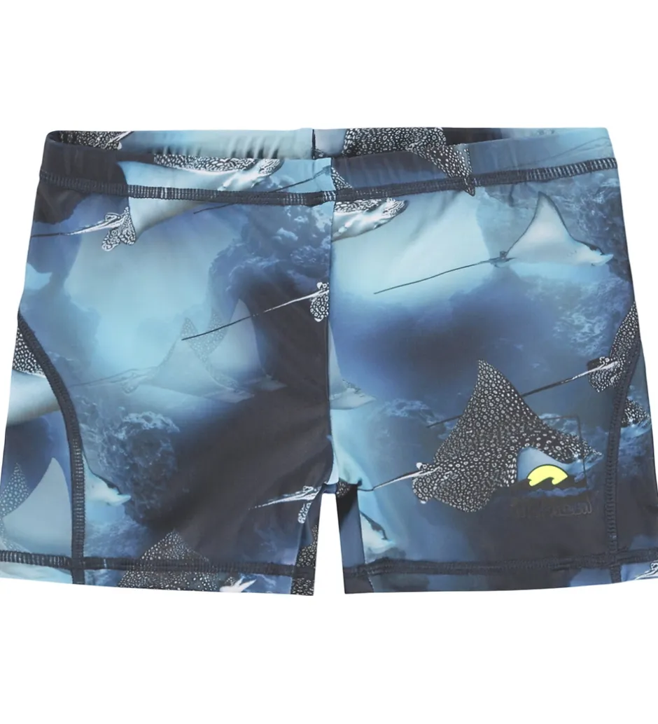 Badetøj|Molo Badebukser - UV50+ - Norton - Into The Blue