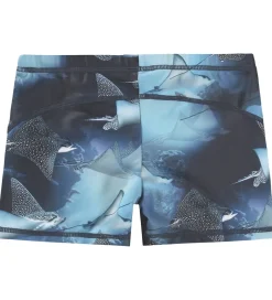 Badetøj|Molo Badebukser - UV50+ - Norton - Into The Blue