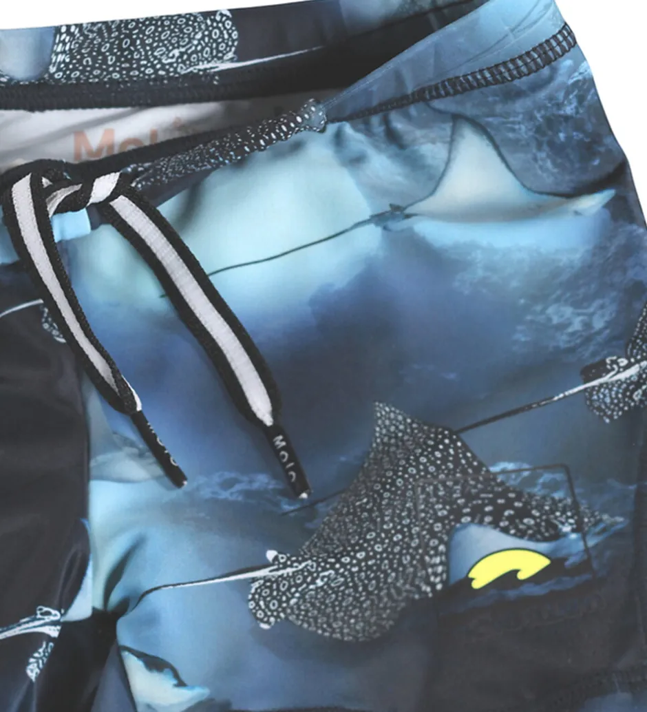 Badetøj|Molo Badebukser - UV50+ - Norton - Into The Blue