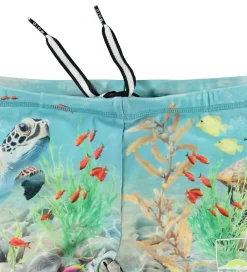 Badetøj|Molo Badebukser - UV50+ - Norton Placed - Happy Ocean