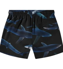 Badetøj|Molo Badeshorts - UV50+ - Niko - Midnight Sharks