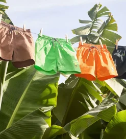 Badetøj|Molo Badeshorts - UV50+ - Niko Solid - Green Vibes