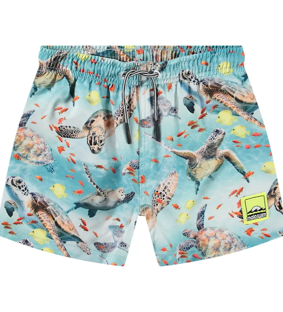 Badetøj|Molo Badeshorts - UV50+ - Niko - Marine Turtles