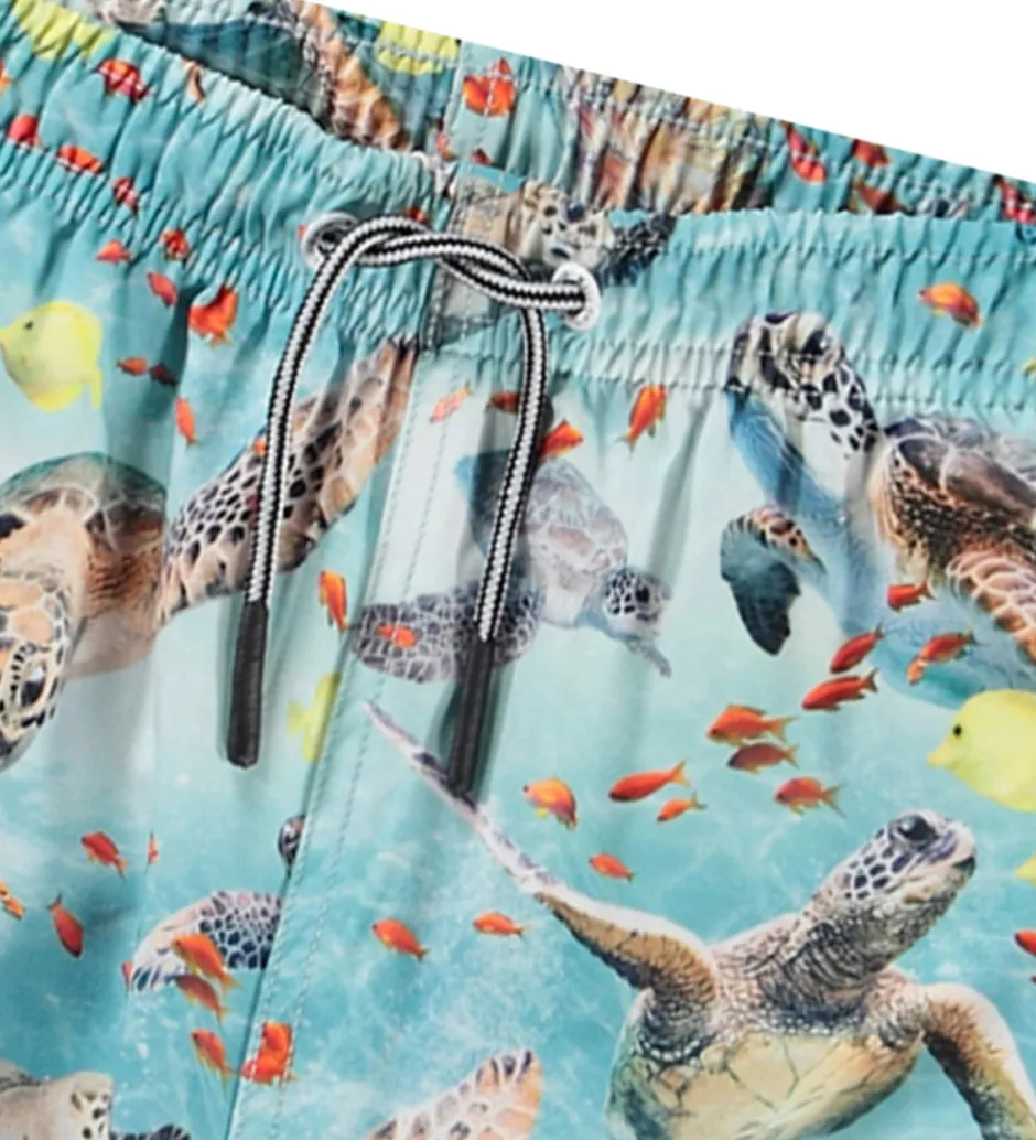 Badetøj|Molo Badeshorts - UV50+ - Niko - Marine Turtles