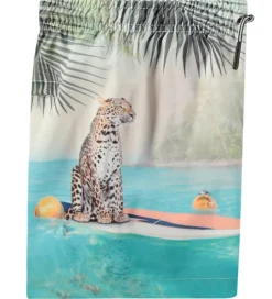 Badetøj|Molo Badeshorts - UV50+ - Niko - Leo On Surf