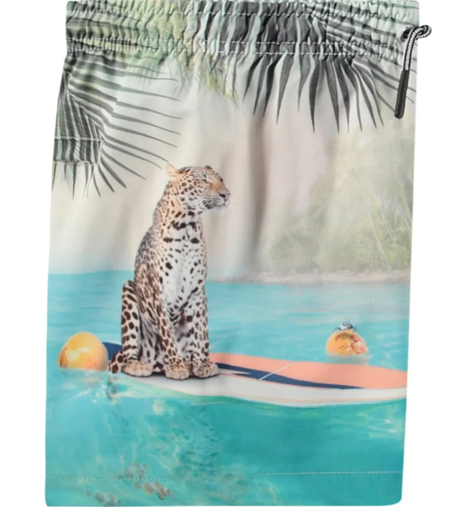 Badetøj|Molo Badeshorts - UV50+ - Niko - Leo On Surf