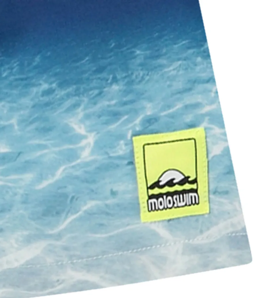 Badetøj|Molo Badeshorts - UV50+ - Niko - Faded Ocean