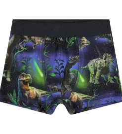 Undertøj|Molo Boxershorts - Justin - 2-pak - Dino Galaxy