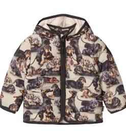 Overgangsjakker|Dunjakker Og Dynejakker|Molo Dynejakke - Harmony - Dashshund Soft