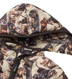 Overgangsjakker|Dunjakker Og Dynejakker|Molo Dynejakke - Harmony - Dashshund Soft