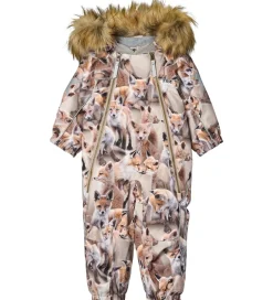 Flyverdragter|Molo Flyverdragt - Pyxis Fur - Playing Foxes