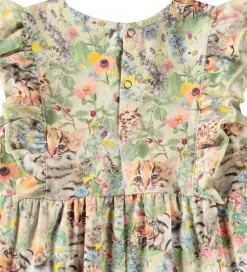 Heldragter|Molo Heldragt - Fallon - Meadow Cubs