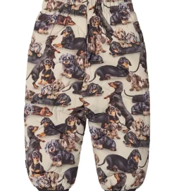 Termotøj|Molo Skibukser - Percy - Dashshund Soft